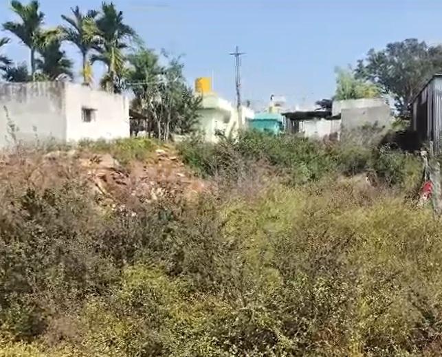 Basavanahalli, Nelamangala Main Image 1