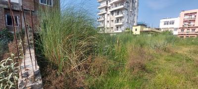 Usri Plot View 3