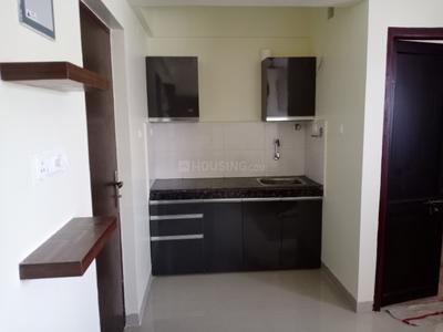 Kitchen Image of 250 Sq.ft 1 RK Apartment / Flat for sale in Eden Park, Jamtha Nagpur for Rs. 1350000