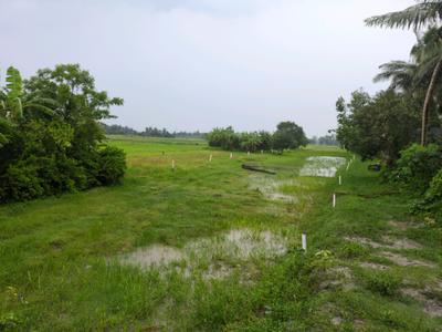 Golden city 2 Sonarpur plot Plot View 2