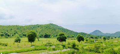 Image of 900 Sq.ft Residential Plot / Land for sale in Sector 48, Gurgaon for Rs. 1500000