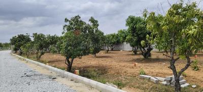 Image of 10890 Sq.ft Residential Plot / Land for sale in Narsapura, Kolar for Rs. 6534000
