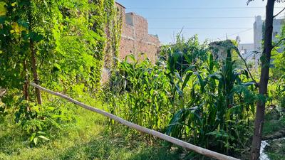 Image of 900 Sq.ft Residential Plot / Land for sale in Sector 53, Faridabad for Rs. 1500000