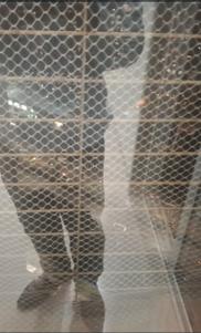 Bathroom Image of 769 Sq.ft 2 BHK Apartment / Flat for rent in Pyramid Elements, Dighe Thane for Rs. 57000