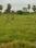 Pushpagiri Plot View 2