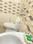 Bathroom Image of Deep in Sector 52, Gurgaon