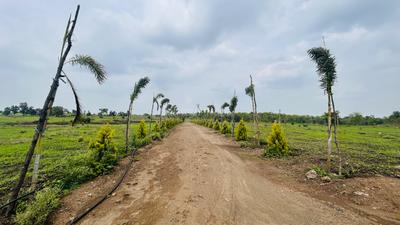 Image of 7000 Sq.ft Residential Plot / Land for sale in Simrol, Indore for Rs. 3647000