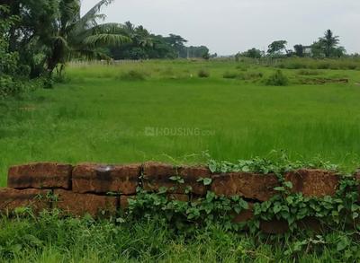 Image of 34840 Sq.ft 12 BHK Farm House for sale in Atala, Bhubaneswar for Rs. 36000000