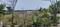 Vandalur Plot View 2