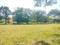 Nandanavana layout Plot View 1