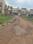 Dharitri New Royal Enclave Internal Roads 2
