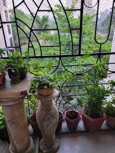 Balcony Image of 1850 Sq.ft 3 BHK Apartment / Flat for sale in Chembur Mumbai for Rs. 41000000