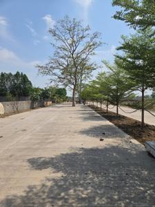 Image of 1500 Sq.ft Residential Plot / Land for sale in Railway Colony, Bilaspur for Rs. 1900000