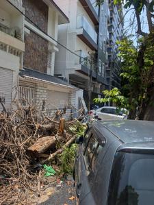 Image of 2400 Sq.ft 4 BHK Independent House for sale in Jayanagar, Bengaluru for Rs. 76800000