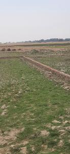 Image of 1000 Sq.ft Residential Plot / Land for sale in Maniram, Gorakhpur for Rs. 651000