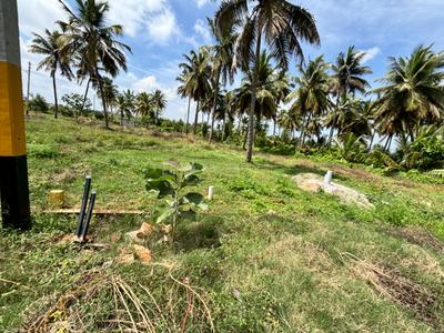 Image of 1200 Sq.ft Residential Plot / Land for sale in Kesare, Mysore for Rs. 9800000