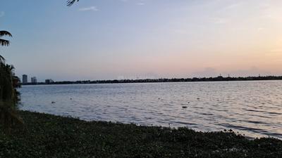 Image of 13066 Sq.ft Residential Plot / Land for sale in Maradu, Kochi for Rs. 36000000