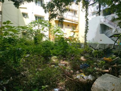 Brookfield Plot View 1