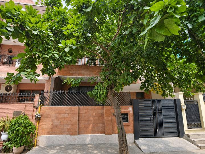 Image of Pg Available For Girls All Sharing in Sector 15, Noida