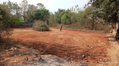 Chunkankadai Plot View 3