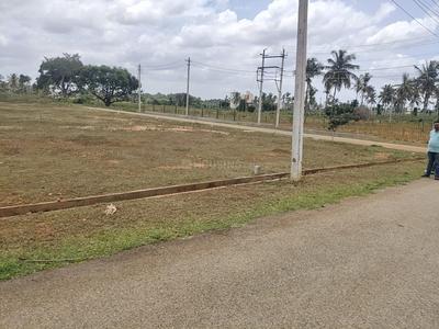 Image of 1200 Sq.ft Residential Plot / Land for sale in Danagalli, Mysore for Rs. 3778808