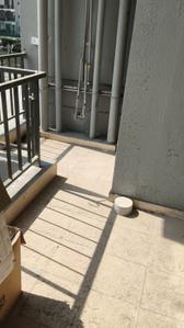 Image of 745 Sq.ft 3 BHK Apartment / Flat for sale in Habitat Prime, Sector 99A, Gurgaon for Rs. 8500000