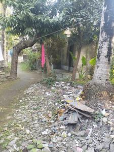 Gurdah Plot View 2