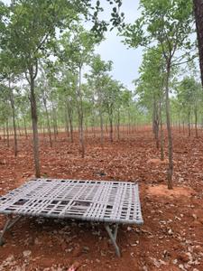 Image of 10800 Sq.ft Residential Plot / Land for sale in Donakonda, Prakasam for Rs. 1000000