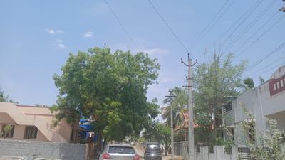 Kumaresan nagar Plot View 3