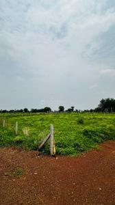 Image of 6000 Sq.ft Residential Plot / Land for sale in Paridhi Nidhivan Farm, Tatibandh, Raipur for Rs. 2850000