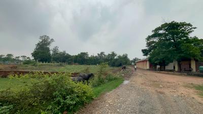 Image of 1560 Sq.ft Residential Plot / Land for sale in Safedabad, Lucknow for Rs. 3900000