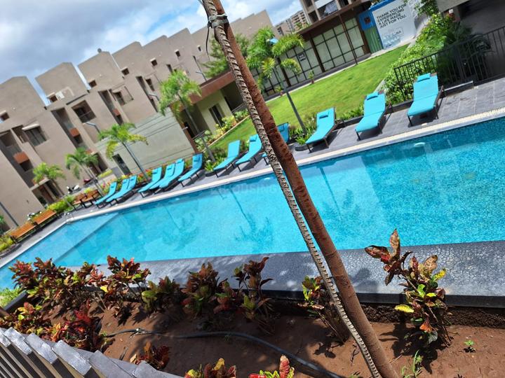 Mantra Montana Property Details Video 1