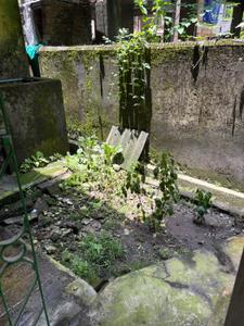 Image of 600 Sq.ft 1 BHK Apartment / Flat for rent in Arabinda Pally, Siliguri for Rs. 5500