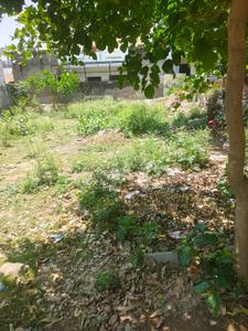 Image of 3339 Sq.ft Residential Plot / Land for sale in Sector 49, Faridabad for Rs. 69000000