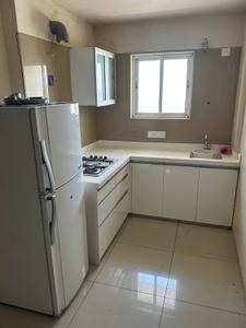 Kitchen Image of 560 Sq.ft 1 BHK Apartment / Flat for rent in Raiya Rajkot for Rs. 11000