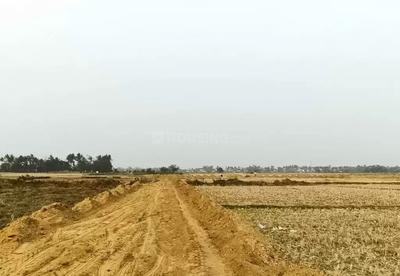 Image of 1500 Sq.ft Residential Plot / Land for sale in Patia, Bhubaneswar for Rs. 975000