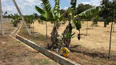 Image of 6000 Sq.ft Residential Plot / Land for sale in Hunsur, Mysore for Rs. 3600000