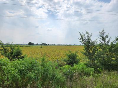 Image of 800 Sq.ft Residential Plot / Land for sale in Sanwariya Dham, Lalpur, Ujjain for Rs. 2160000