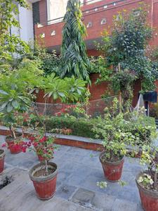 Image of 900 Sq.ft Residential Plot / Land for sale in Chhata, Mathura for Rs. 2900000