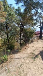 Image of 9583 Sq.ft Residential Plot / Land for sale in Kasauli, Solan for Rs. 17600000