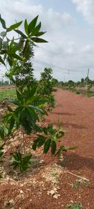 Image of 2200 Sq.ft Residential Plot / Land for sale in Amleshwar, Raipur for Rs. 1586201
