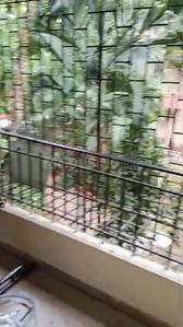 Balcony Image of 1450 Sq.ft 3 BHK Apartment / Flat for rent in Vashi Navi Mumbai for Rs. 75000