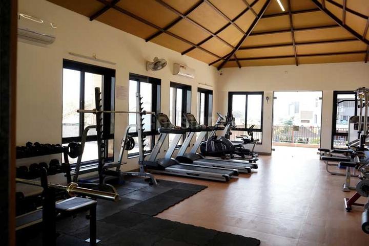 Nexus Skydale Main Image 1