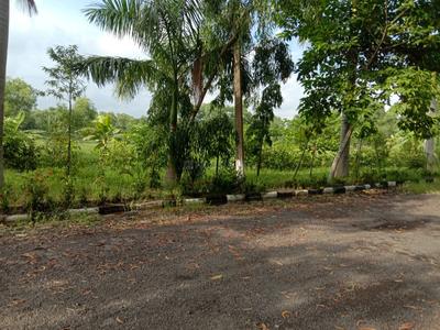 Image of 720 Sq.ft Residential Plot / Land for sale in Amtala, Kolkata for Rs. 320000