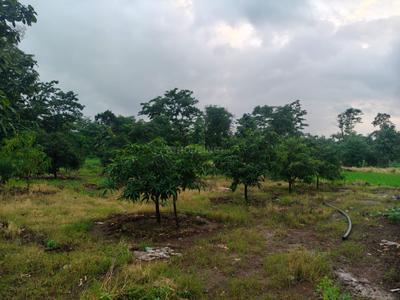Image of 27225 Sq.ft Residential Plot / Land for sale in Vaishakhare, Thane for Rs. 3500000