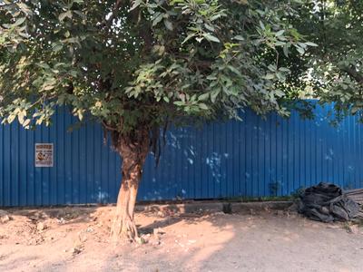 Image of 450 Sq.ft Residential Plot / Land for sale in Sector 93B, Noida for Rs. 130000000