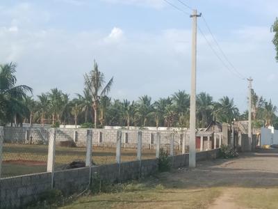 Muttukadu Plot View 3