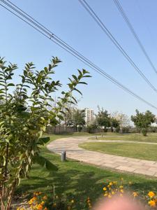 Image of 330 Sq.ft Residential Plot / Land for sale in BPTP Amstoria Verti Greens, Sector 102, Gurgaon for Rs. 110550000