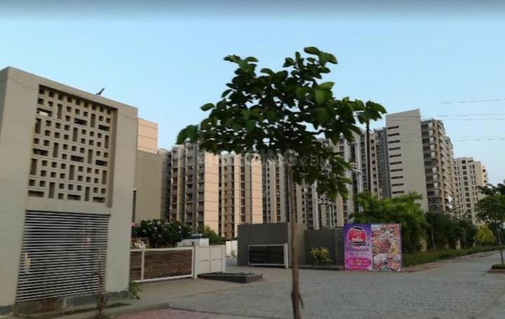 Apollo DB City Main Image 1