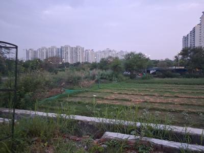 Image of 1350 Sq.ft Residential Plot / Land for sale in Sector 116, Noida for Rs. 10000000